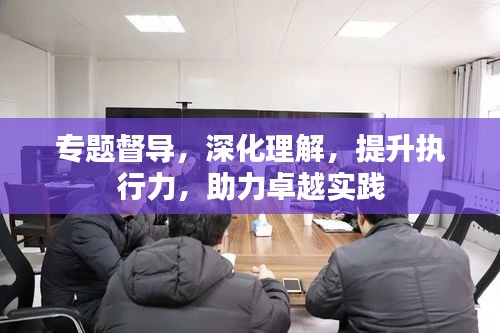 专题督导，深化理解，提升执行力，助力卓越实践