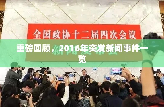 不堪造就 第2页