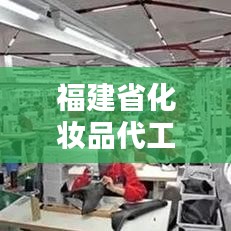 福建省化妆品代工公司排行榜揭晓，优质企业一览