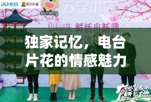 独家记忆，电台片花的情感魅力与共鸣之声