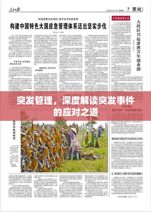 突发管理，深度解读突发事件的应对之道