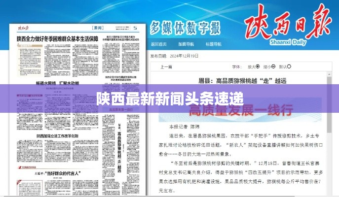 陕西最新新闻头条速递