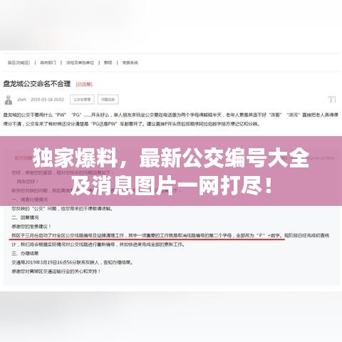 独家爆料，最新公交编号大全及消息图片一网打尽！
