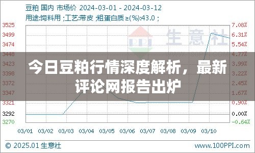 今日豆粕行情深度解析，最新评论网报告出炉