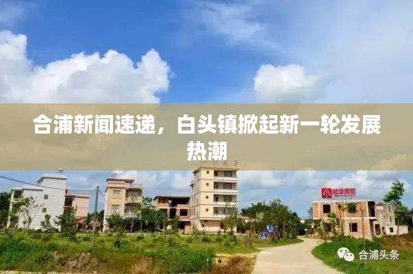 合浦新闻速递，白头镇掀起新一轮发展热潮