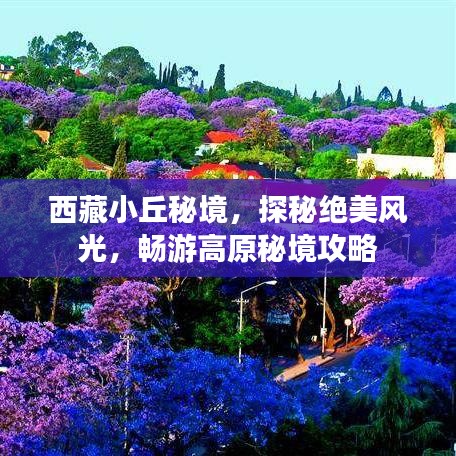 西藏小丘秘境，探秘绝美风光，畅游高原秘境攻略