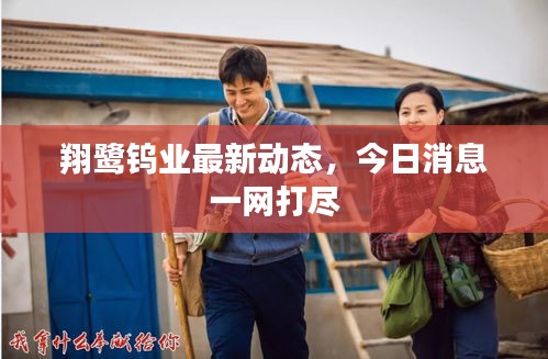 翔鹭钨业最新动态，今日消息一网打尽