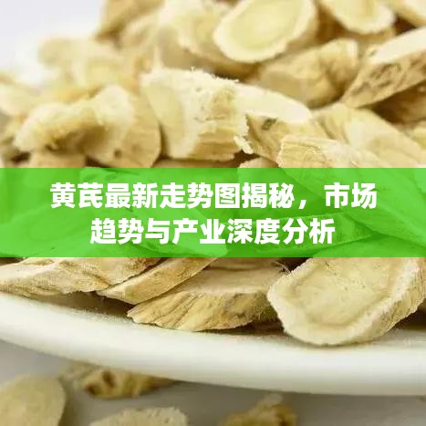 黄芪最新走势图揭秘，市场趋势与产业深度分析