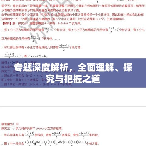专题深度解析，全面理解、探究与把握之道