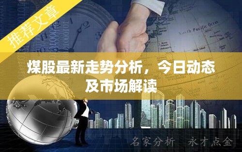 煤股最新走势分析，今日动态及市场解读