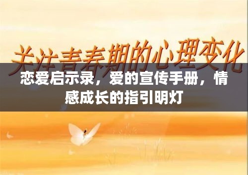 恋爱启示录，爱的宣传手册，情感成长的指引明灯