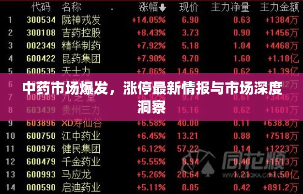 中药市场爆发，涨停最新情报与市场深度洞察