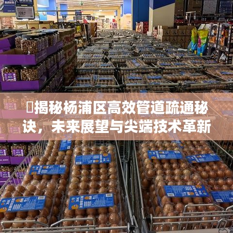​揭秘杨浦区高效管道疏通秘诀，未来展望与尖端技术革新
