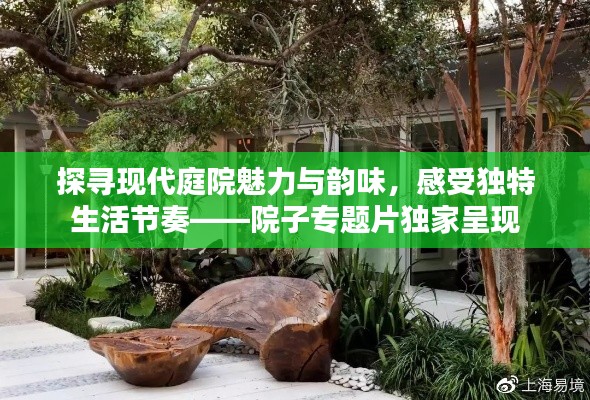 探寻现代庭院魅力与韵味，感受独特生活节奏——院子专题片独家呈现