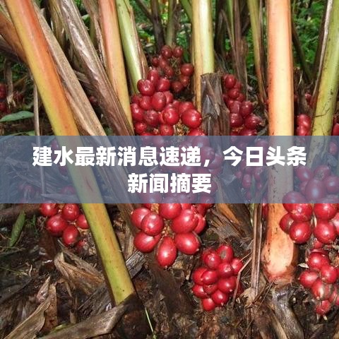 建水最新消息速递，今日头条新闻摘要
