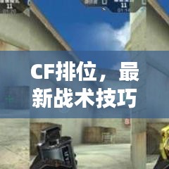 CF排位，最新战术技巧攻略揭秘