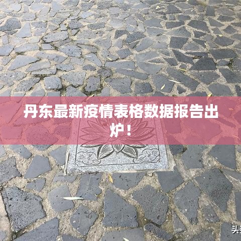 丹东最新疫情表格数据报告出炉！