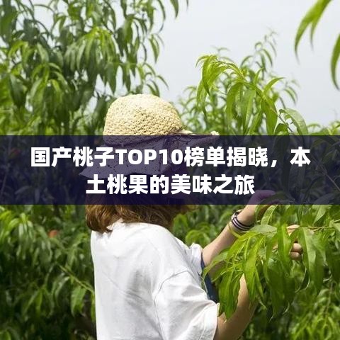 国产桃子TOP10榜单揭晓，本土桃果的美味之旅