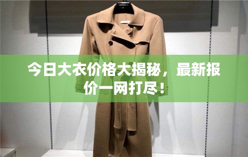 今日大衣价格大揭秘，最新报价一网打尽！