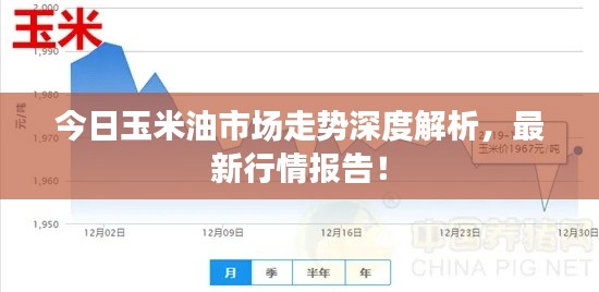 今日玉米油市场走势深度解析，最新行情报告！