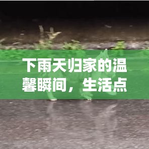 下雨天归家的温馨瞬间，生活点滴感悟分享