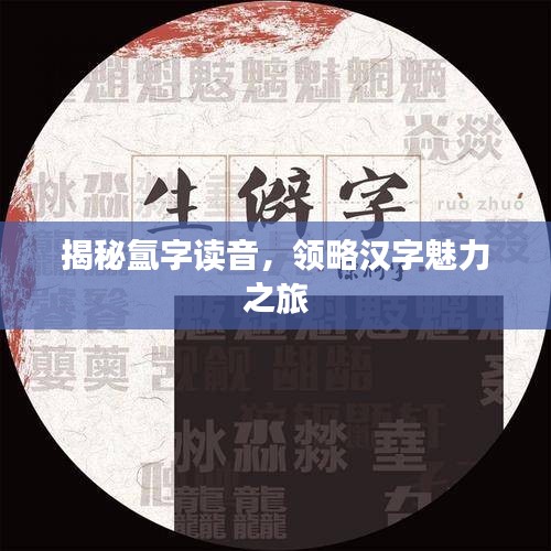 揭秘氲字读音，领略汉字魅力之旅