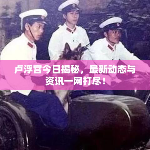卢浮宫今日揭秘，最新动态与资讯一网打尽！