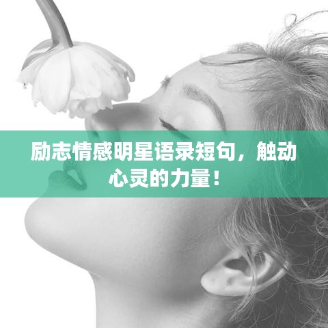 励志情感明星语录短句，触动心灵的力量！