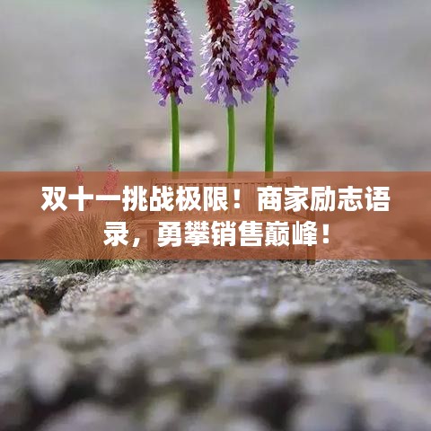 双十一挑战极限！商家励志语录，勇攀销售巅峰！