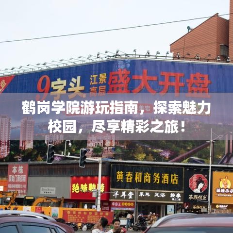 鹤岗学院游玩指南，探索魅力校园，尽享精彩之旅！
