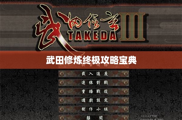 武田修炼终极攻略宝典