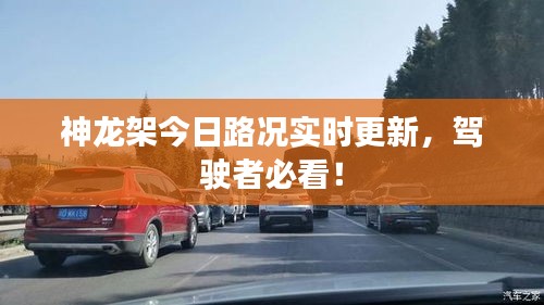 神龙架今日路况实时更新，驾驶者必看！