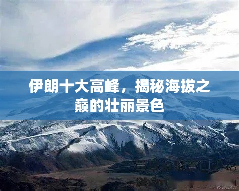 第393页