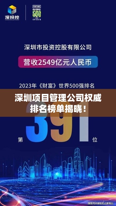 深圳项目管理公司权威排名榜单揭晓！