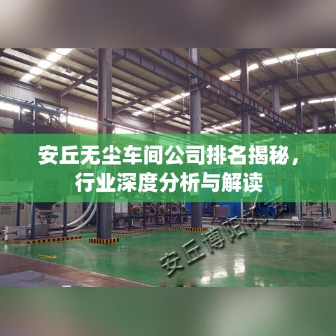 安丘无尘车间公司排名揭秘，行业深度分析与解读