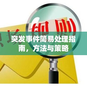突发事件简易处理指南，方法与策略