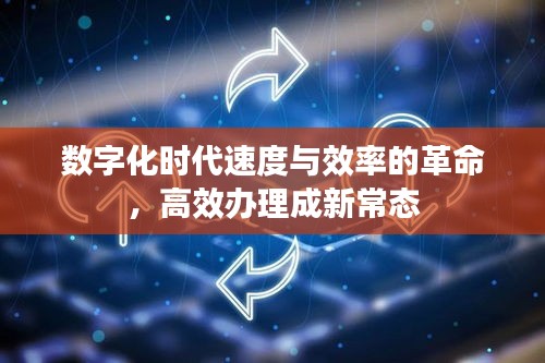 数字化时代速度与效率的革命，高效办理成新常态