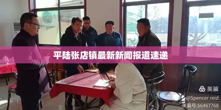 平陆张店镇最新新闻报道速递