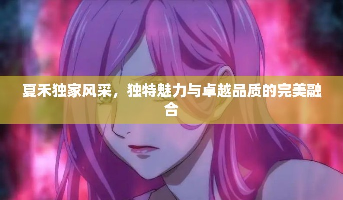 夏禾独家风采，独特魅力与卓越品质的完美融合