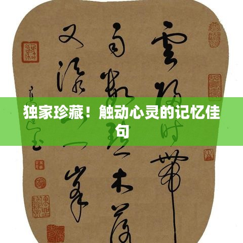 独家珍藏！触动心灵的记忆佳句