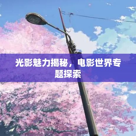 光影魅力揭秘，电影世界专题探索