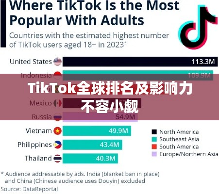 TikTok全球排名及影响力不容小觑