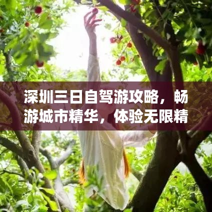 深圳三日自驾游攻略，畅游城市精华，体验无限精彩！
