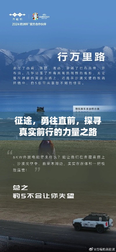 凤凰于飞