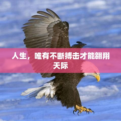 人生，唯有不断搏击才能翱翔天际