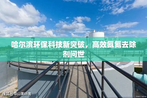 哈尔滨环保科技新突破，高效氨氮去除剂问世