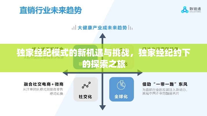 独家经纪模式的新机遇与挑战，独家经纪约下的探索之旅