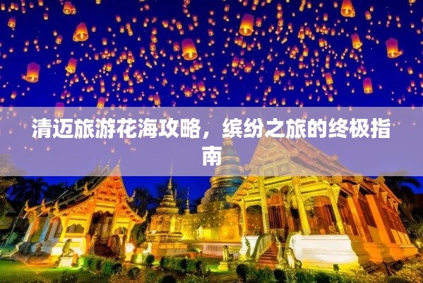清迈旅游花海攻略，缤纷之旅的终极指南