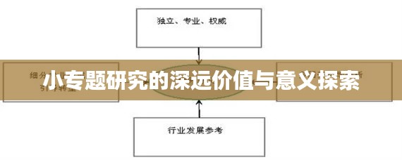 小专题研究的深远价值与意义探索