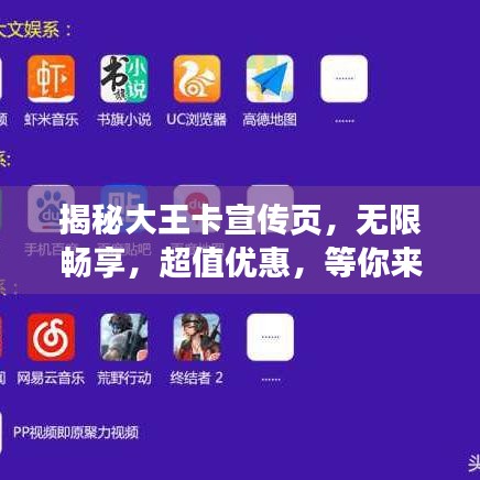 揭秘大王卡宣传页，无限畅享，超值优惠，等你来体验！